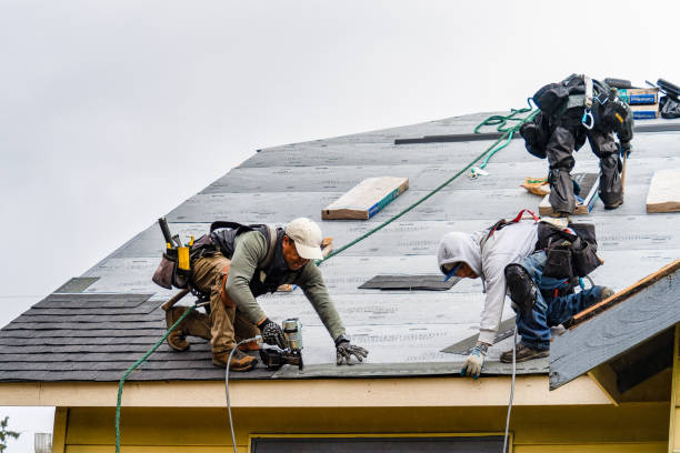 Professional Gutter Installation technician working in Elizabeth, IL